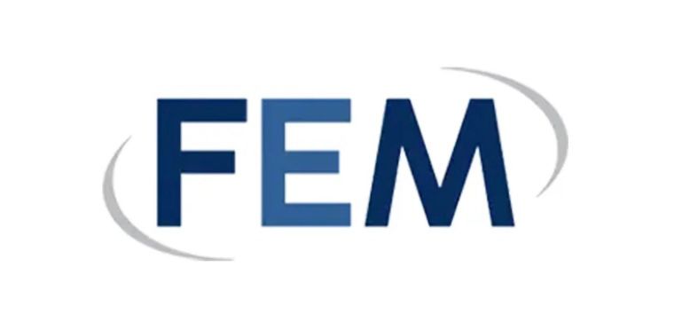 FEM